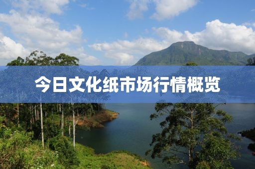 今日文化紙市場行情概覽