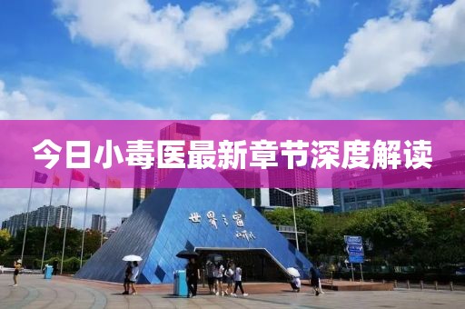 今日小毒醫最新章節深度解讀