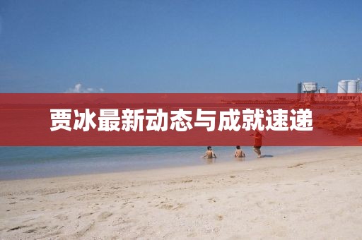 賈冰最新動態與成就速遞