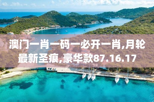 澳門一肖一碼一必開一肖,月輪最新圣痕,豪華款87.16.17