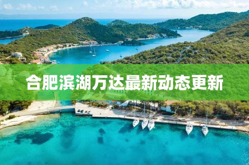 合肥濱湖萬達最新動態更新