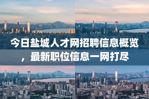 今日鹽城人才網招聘信息概覽，最新職位信息一網打盡