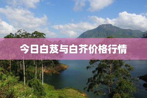 九菱華 第2頁