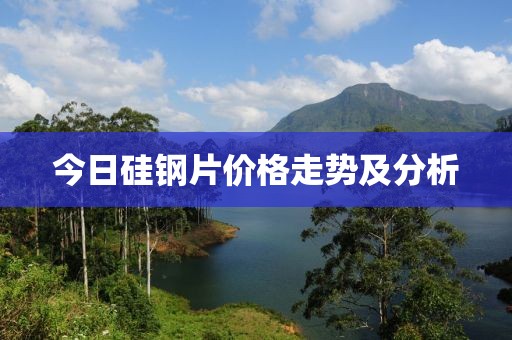 今日硅鋼片價格走勢及分析