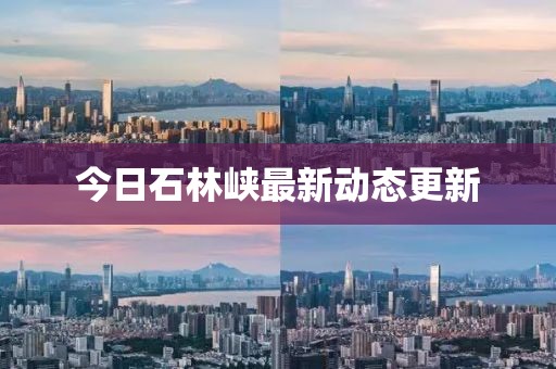 愛湛英 第2頁