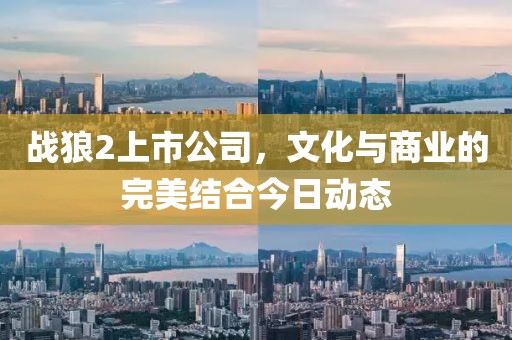 戰狼2上市公司，文化與商業的完美結合今日動態