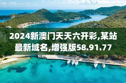 2024新澳門天天六開彩,某站最新域名,增強版58.91.77