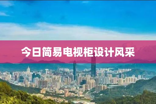 今日簡易電視柜設計風采