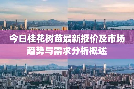 今日桂花樹苗最新報價及市場趨勢與需求分析概述