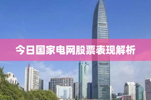 今日國家電網股票表現解析