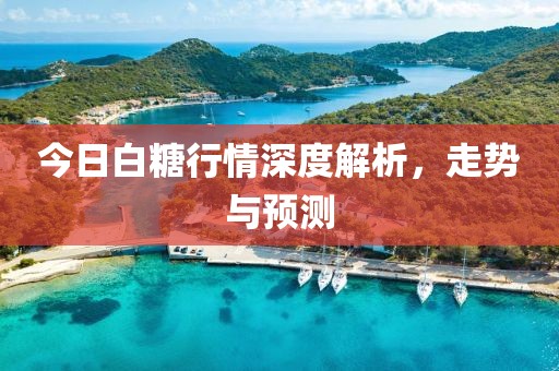 今日白糖行情深度解析，走勢與預測