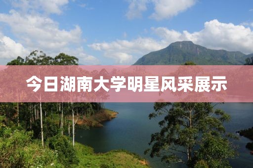 喜秀潔 第2頁