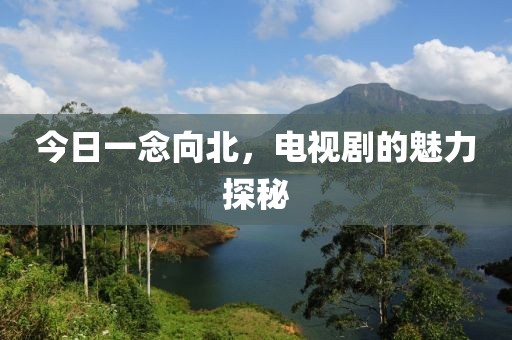 今日一念向北，電視劇的魅力探秘