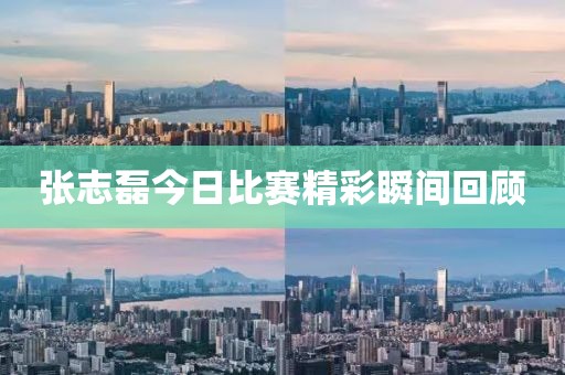 張志磊今日比賽精彩瞬間回顧