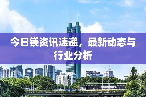 今日鎂資訊速遞，最新動態與行業分析