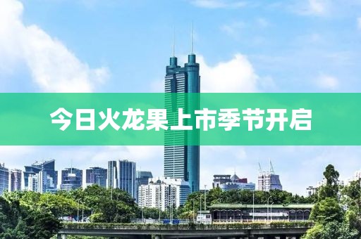 今日火龍果上市季節開啟