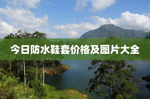 今日防水鞋套價格及圖片大全