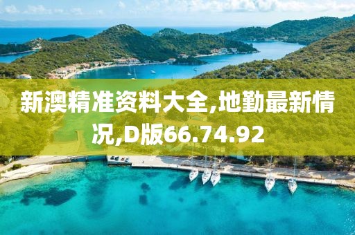 新澳精準資料大全,地勤最新情況,D版66.74.92