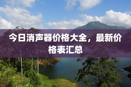 今日消聲器價格大全，最新價格表匯總