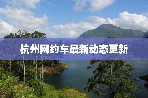 杭州網約車最新動態更新