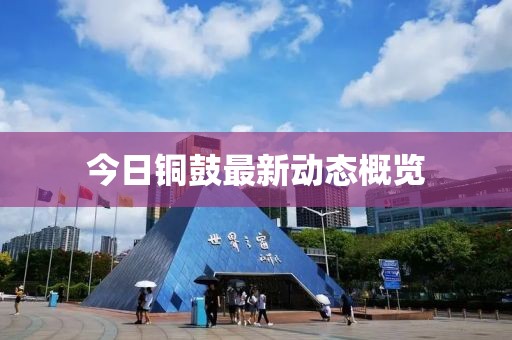 今日銅鼓最新動態概覽