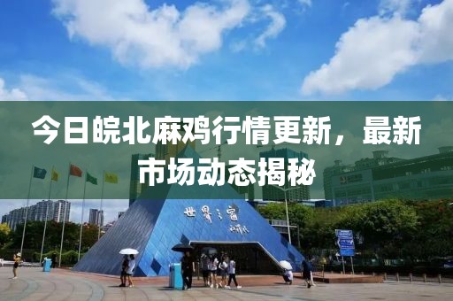 今日皖北麻雞行情更新，最新市場動態揭秘
