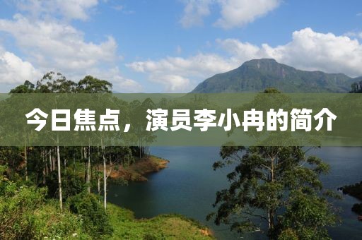 今日焦點，演員李小冉的簡介