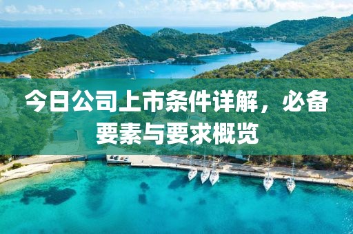 今日公司上市條件詳解，必備要素與要求概覽