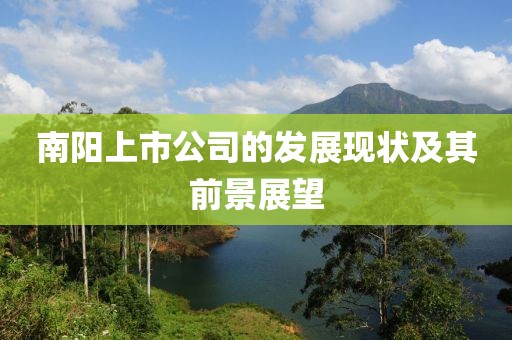 南陽上市公司的發展現狀及其前景展望