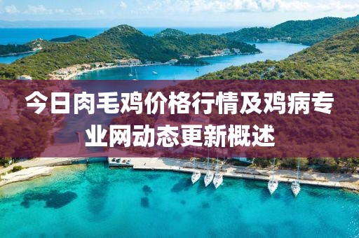 今日肉毛雞價格行情及雞病專業網動態更新概述