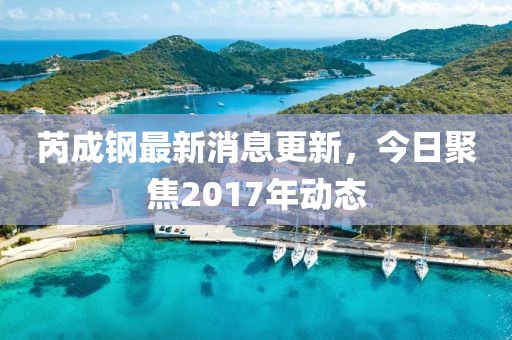 芮成鋼最新消息更新，今日聚焦2017年動態