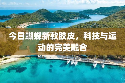 今日蝴蝶新款膠皮，科技與運動的完美融合