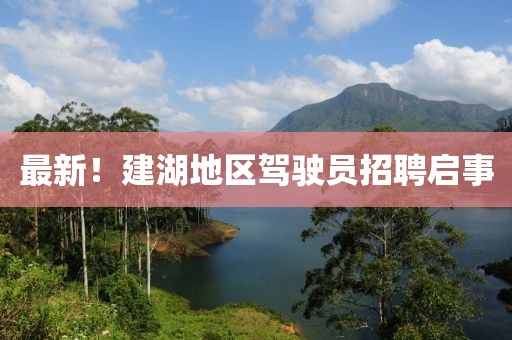 最新！建湖地區駕駛員招聘啟事