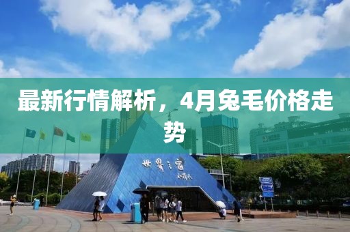 最新行情解析，4月兔毛價格走勢