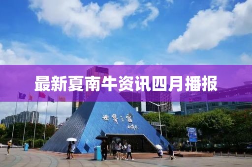 最新夏南牛資訊四月播報