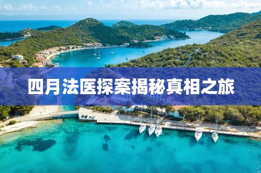 四月法醫探案揭秘真相之旅