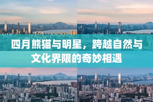 四月熊貓與明星，跨越自然與文化界限的奇妙相遇