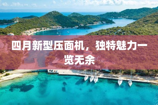 四月新型壓面機，獨特魅力一覽無余