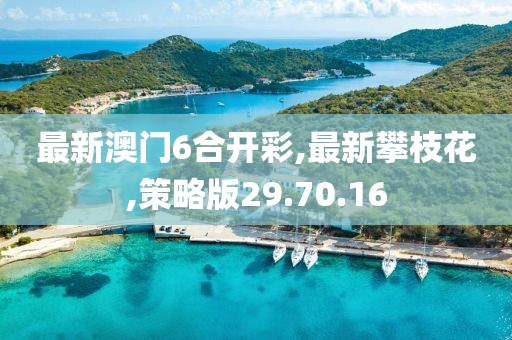 最新澳門6合開彩,最新攀枝花,策略版29.70.16