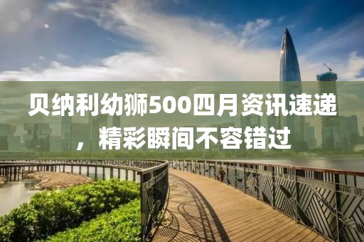 貝納利幼獅500四月資訊速遞，精彩瞬間不容錯過