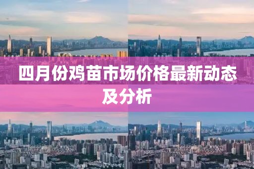 四月份雞苗市場價格最新動態及分析