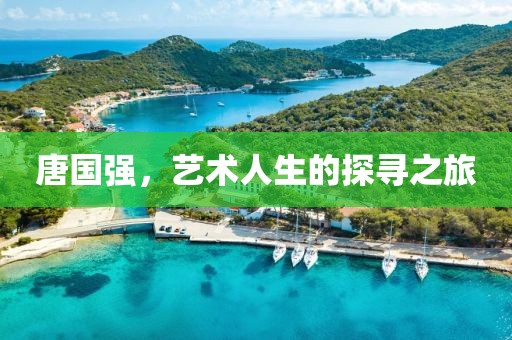 唐國強，藝術人生的探尋之旅