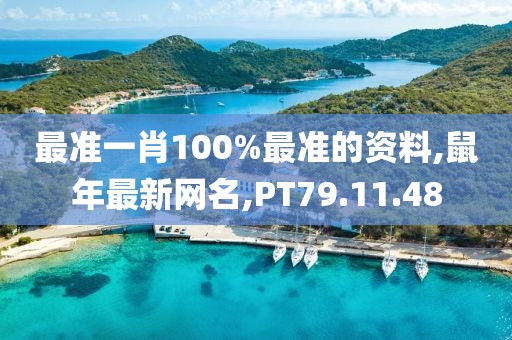 最準一肖100%最準的資料,鼠年最新網名,PT79.11.48