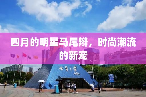 四月的明星馬尾辮，時尚潮流的新寵