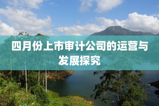 四月份上市審計公司的運營與發展探究