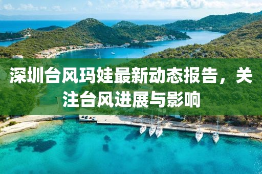 深圳臺風瑪娃最新動態報告，關注臺風進展與影響
