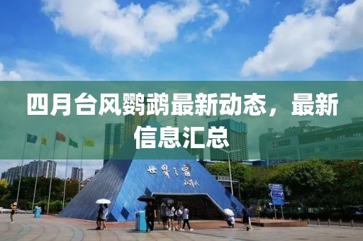 四月臺風鸚鵡最新動態，最新信息匯總