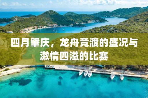 四月肇慶，龍舟競渡的盛況與激情四溢的比賽
