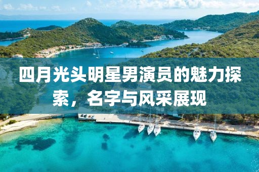 四月光頭明星男演員的魅力探索，名字與風采展現