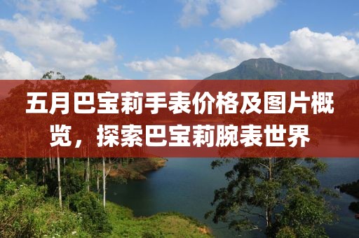 五月巴寶莉手表價格及圖片概覽，探索巴寶莉腕表世界
